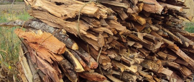 दाउरा बेचेर साँझ बिहानको छाक टार्दै मुक्त हलिया परिवार