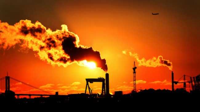 पृथ्वीको तापक्रम कम गर्न महानगरको भूमिका प्रमुख हुने