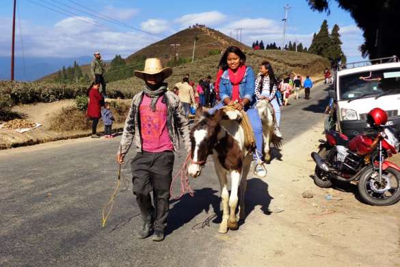 कन्याममा घोडा व्यवसाय उकालो लाग्दै