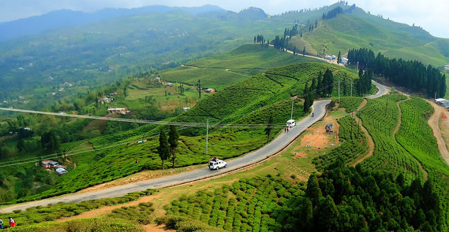 शिलान्यास भएको दुई दशक बित्दा पनि बनेन सहिद उद्यान