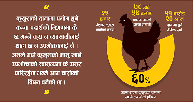 दैनिकजसो भान्सामा पुग्ने कुखुराको मासु कति खतरनाक छ, यो पढौं