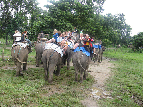 सौराहा घुम्‍ने पर्यटकलाई ३० प्रतिशतसम्म छुट