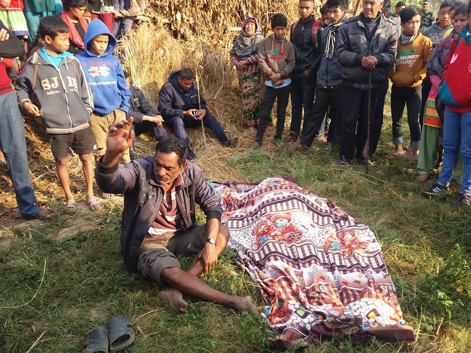 बर्दियामा जंगली हात्तीको आक्रमणबाट एकको मृत्यु, हात्ती धपाउन स्थानीयवासी रातभर जाग्राम