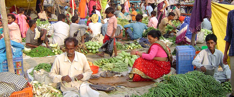 कालिमाटीस्थित फलफूल तथा तरकारी बजार बन्द