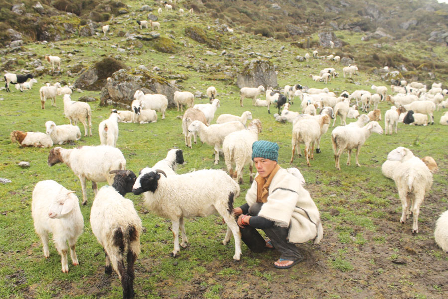 गर्मी बढेसँगै भेँडीगोठ लेकतिर