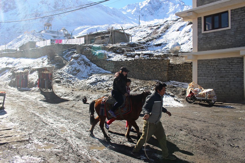 मुक्तिनाथमा प्रख्यात बन्दै घोडचढी