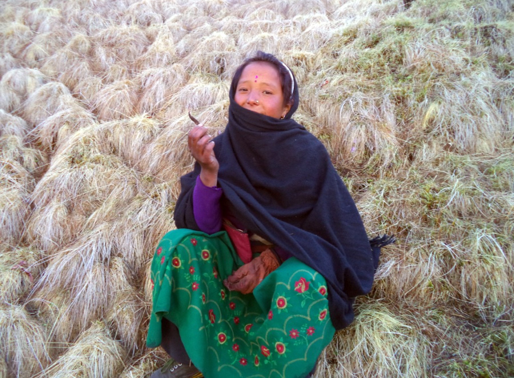 यार्सा र संकलक दुवै घटे