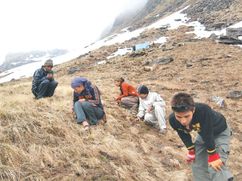 यार्सा सङ्कलकको मृत्यु