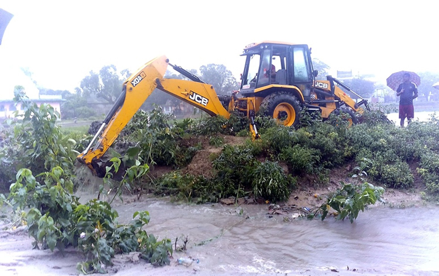 बाढीले कृषिमा तीन अर्ब क्षति