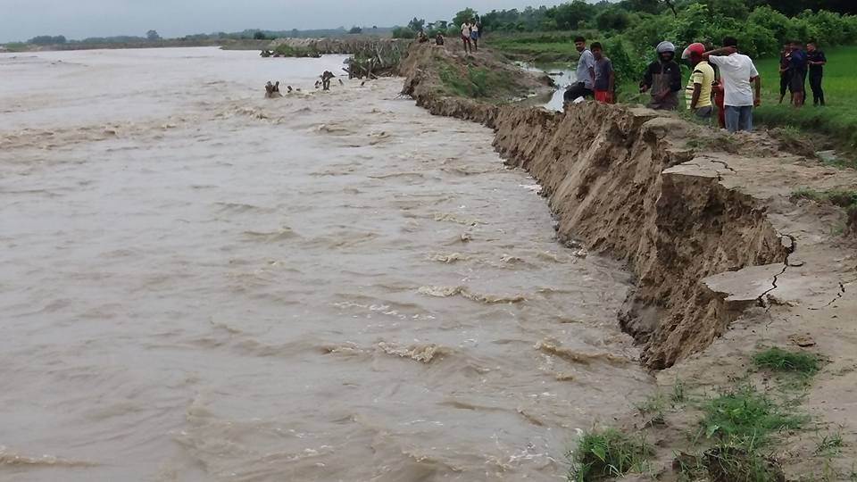 खाँडोको बाढीले सप्तरीमा वितण्डा, कोशी ब्यारेजमा हाइ एलर्ट