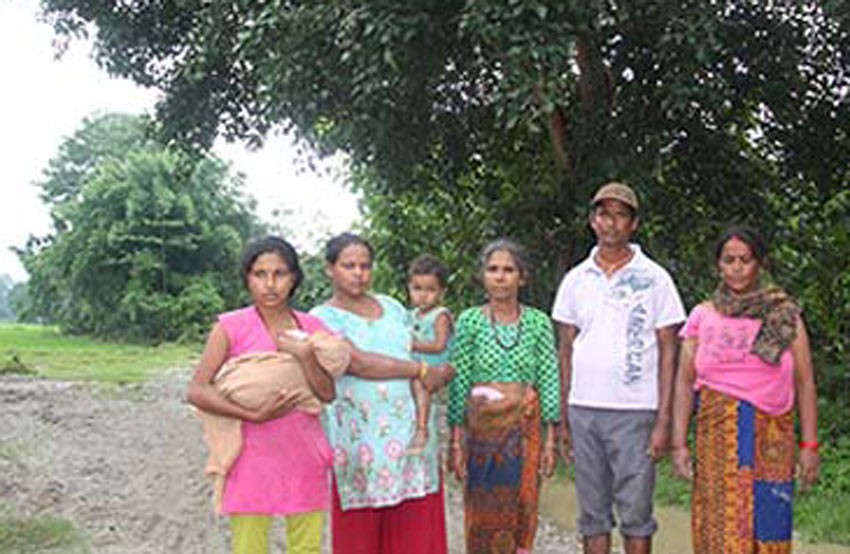 पिपलको रुखले ज्यान जोगियो, १३ जना चार घन्टासम्म रुखमा