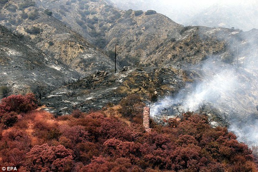 अमेरिकामा भीषण आगलागी, आपतकालको घोषणा