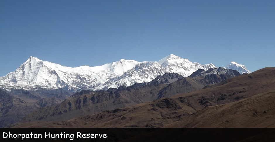 ढोरपाटनमा शिकारको याम शुरु