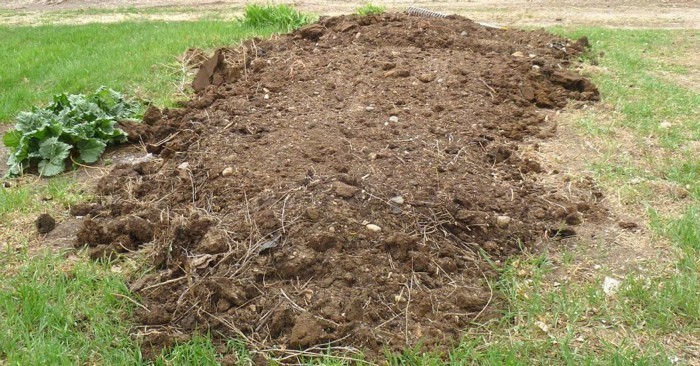 आफ्नी छोरीलाई घरपछाडिको बगैँचामा खाल्डो खनेर गाड्ने कस्ताे बाबु