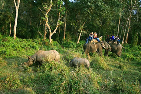 आन्तरिक पर्यटक लोभ्याउँदै पर्सा राष्ट्रिय निकुञ्ज