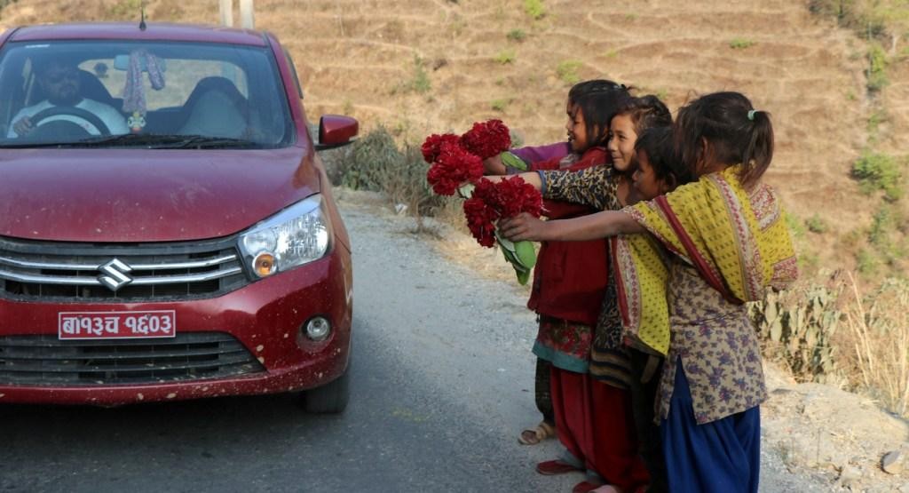 एक-दुई कक्षामा पढ्ने यी बालबालिका जाे कापी-कलम किन्नैका लागि लालीगुराँस बेच्न बाध्य छन्