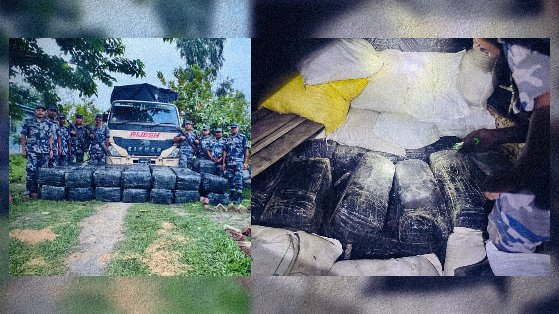 Armed Police Seize 922 Kilograms Of Hidden Cannabis In Morang