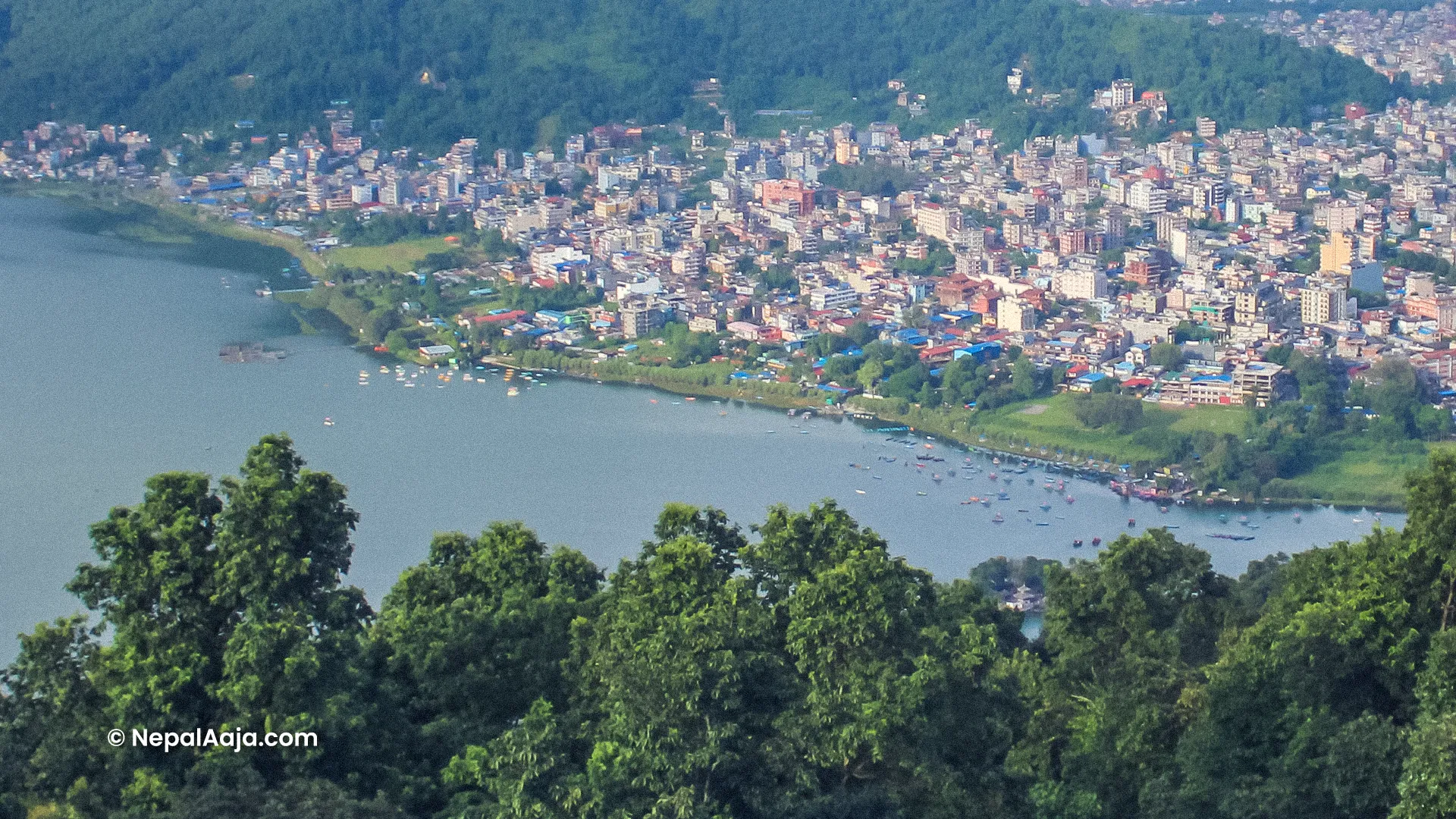 फेवाताल संरक्षणमा नयाँ फड्को: ६५ मिटर मापदण्ड कार्यान्वयनको प्रक्रिया सुरु