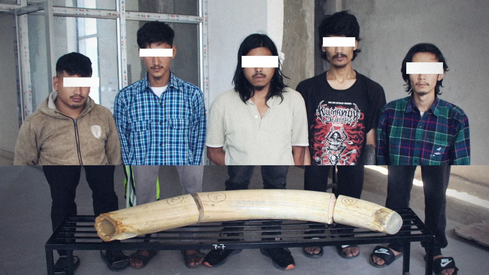 Five Arrested With Stolen Presidential Palace Elephant Tusks And Drugs