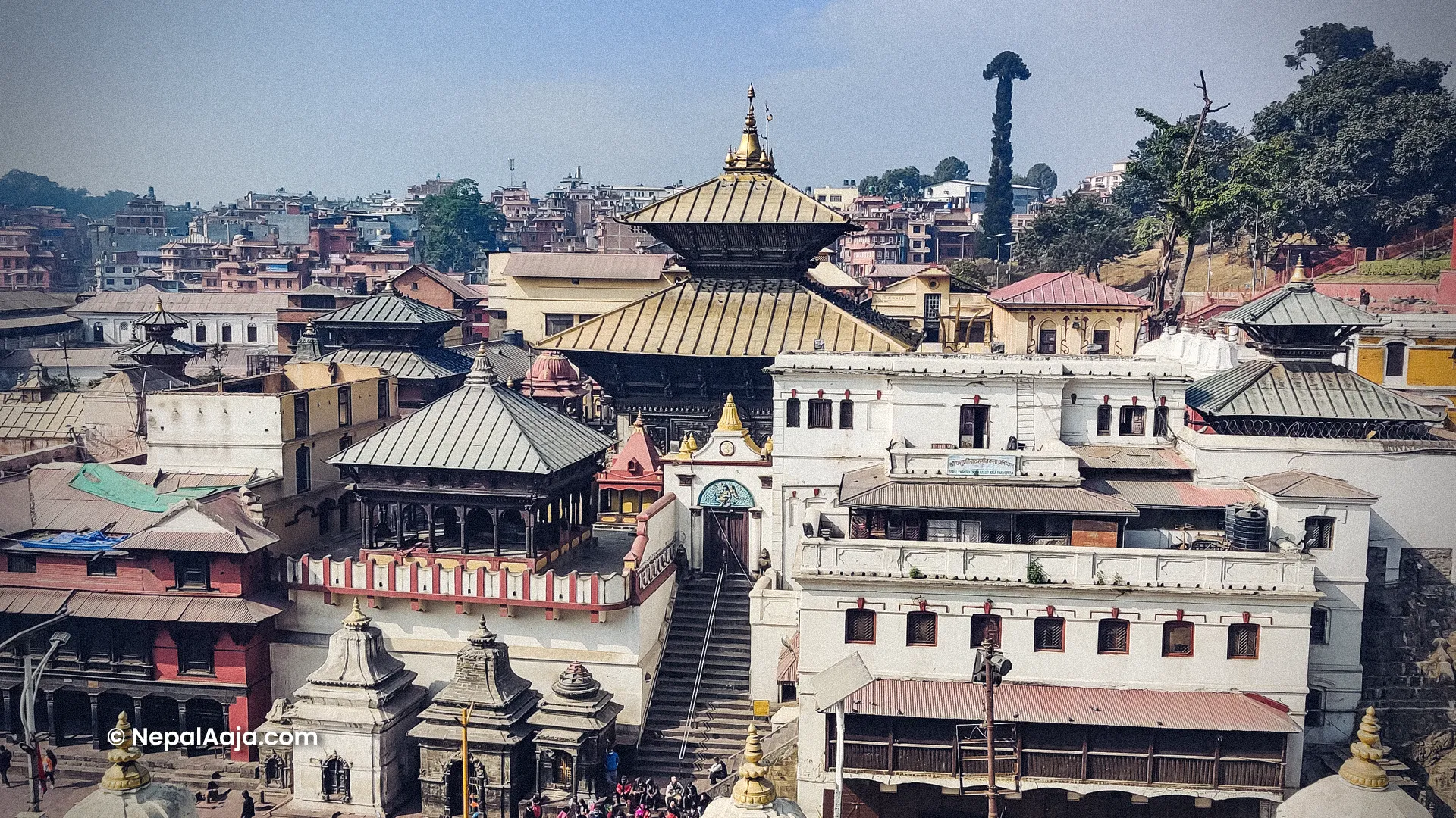 High Security at Pashupatinath for Teej as Thousands Offer Prayers