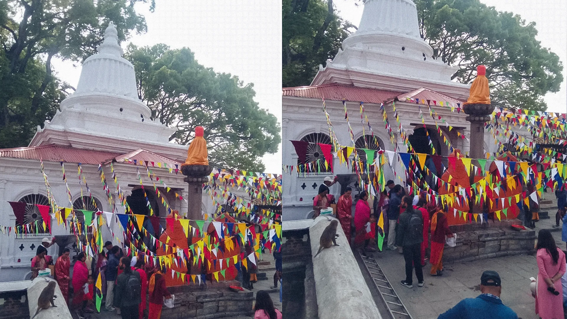 Devotees Across Nepal Celebrate Ram Navami with Religious Fervor and Rituals