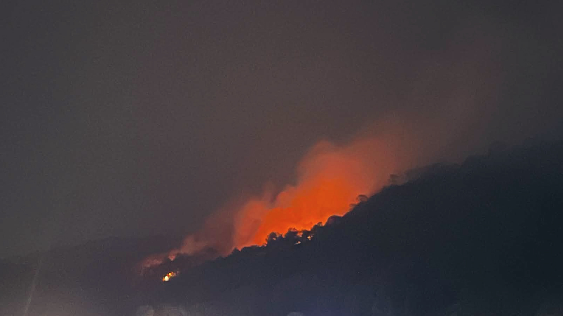 बुढानिलकण्ठ माथिको शिवपुरी डाँडामा भीषण आगलागी, सेना र स्थानीयद्वारा नियन्त्रणको प्रयास