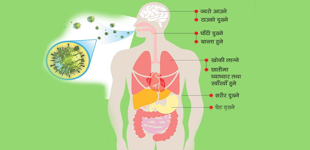 भाइरलको जोखिम, पत्तै नपाइ जान सक्छ ज्यान