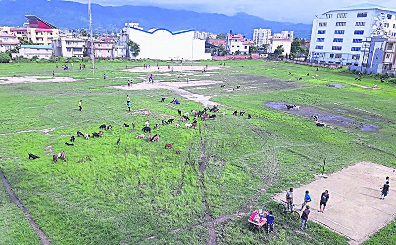 सरकारी जग्गा हाउजिङ कम्पनीलाई