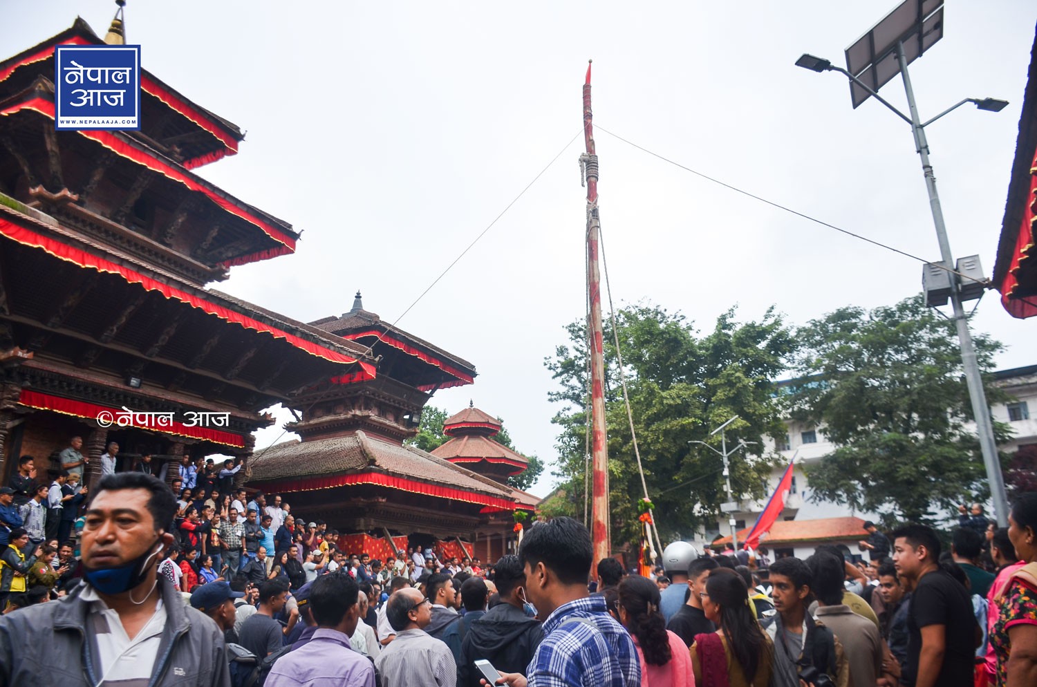 काठमाडौंमा शुक्रबारदेखि इन्द्रजात्रा पर्व सुरु (फोटो फिचर)