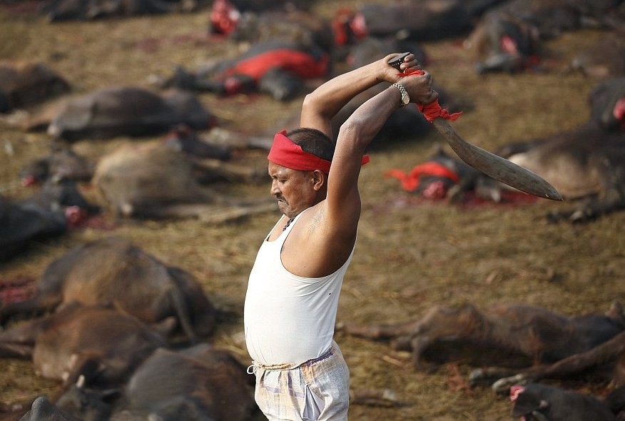 मन्दिरमा पशु बलि प्रतिबन्ध