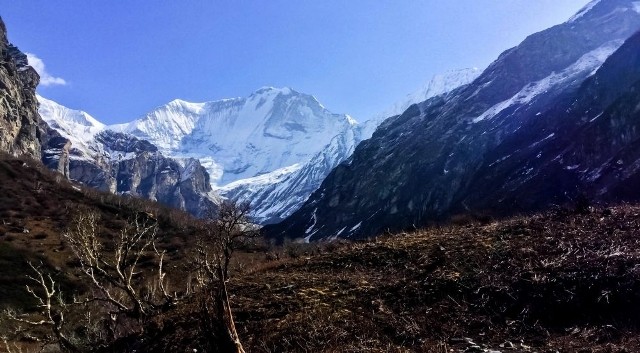 पहिलो पटक २८ जनाको टोली साइपाल हिमाल आरोहण गर्दै