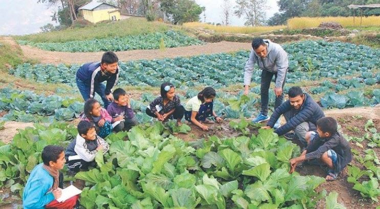 बारीमै कक्षाः खोटाङमा पूर्वदेखि पश्चिमसम्मका विद्यार्थी