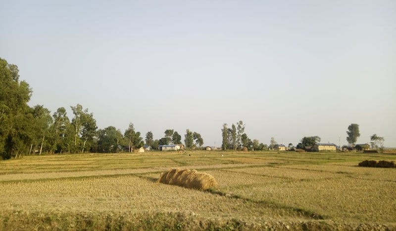 कैलालीको कुसुमघाट गाउँ, जहाँका नागरिकसँग लालपुर्जा छैन