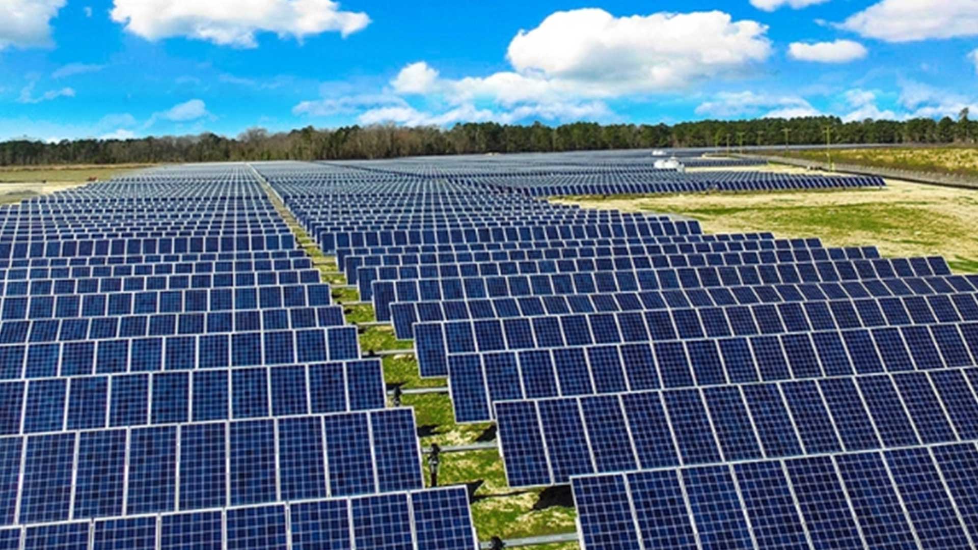 ३५५ मेगावाटका २४ सोलार परियोजनासँग पीपीए! अब सस्तो बत्तीको आशा?