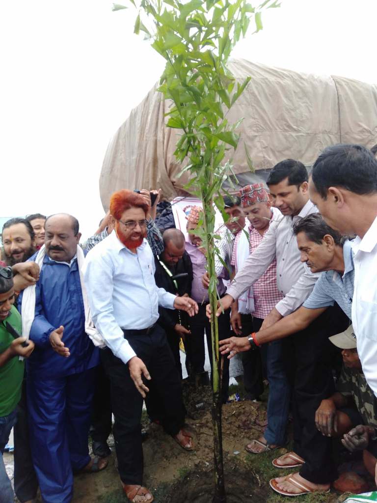 १० हजार बिरुवा रोप्ने अभियान सुरु