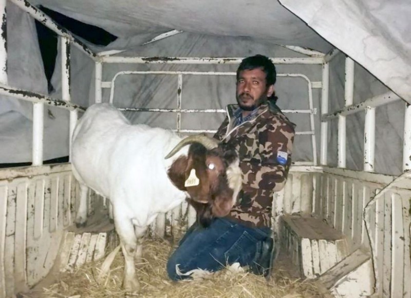 एउटै बोकाको मूल्य ३ लाख !