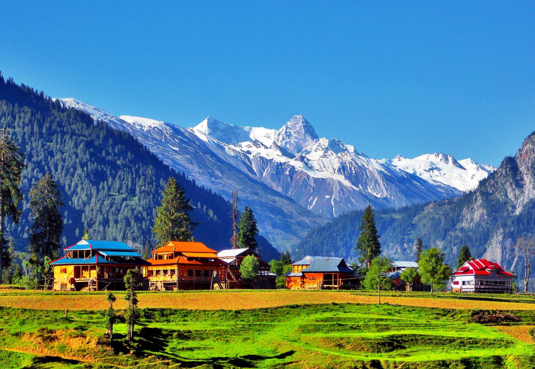 कोभिड-१९ महामारीको विद्यार्थीको शैक्षि वर्षमा क्षति नहोस् भन्‍नका लागि 'ओपन-एयर क्लास'