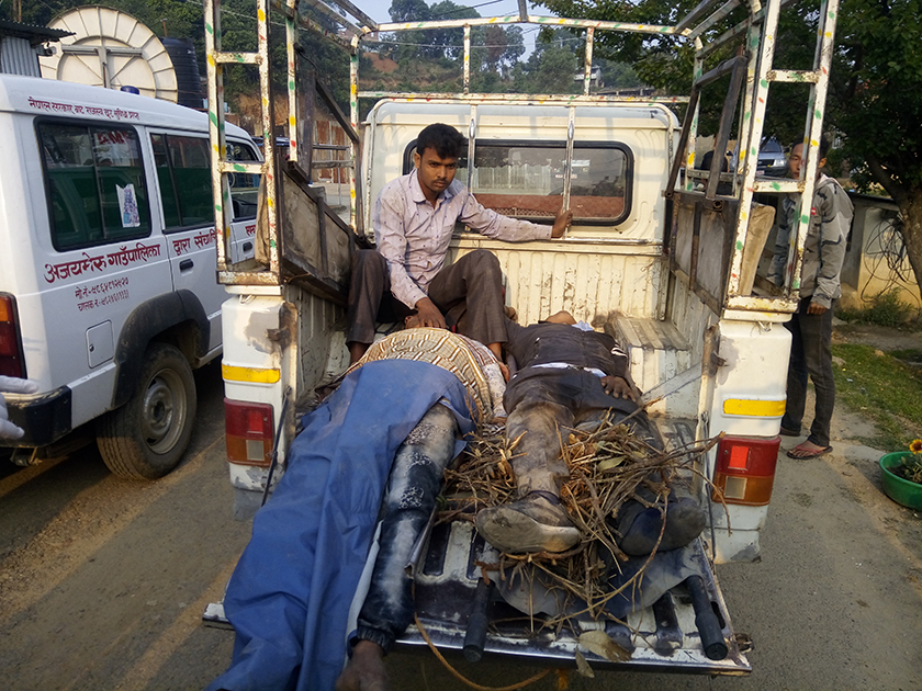 डडेल्धुरामा बस दुर्घटना, ७ को मृत्यु, २० घाइते