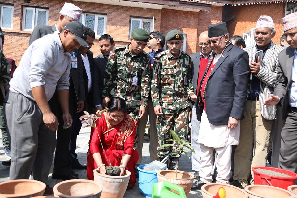 प्रधानमन्त्रीज्यू तपाईंले रोपेका विरुवा कसले जोगाउँछ?