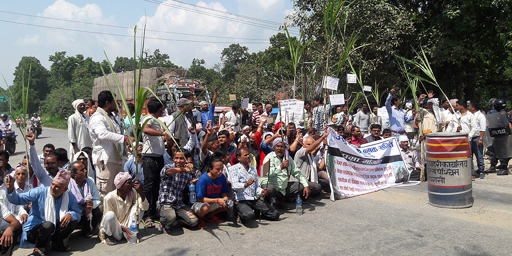 चिनी उद्योगले साताभित्र भुक्तानी सुरु नगरे राजमार्ग ठप्प पार्ने किसानको चेतवानी