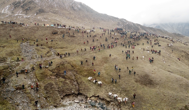 यार्सा टिप्न गएका तीनको मृत्यु,सयौँ बिरामी पर्दा उपचारमा समस्या