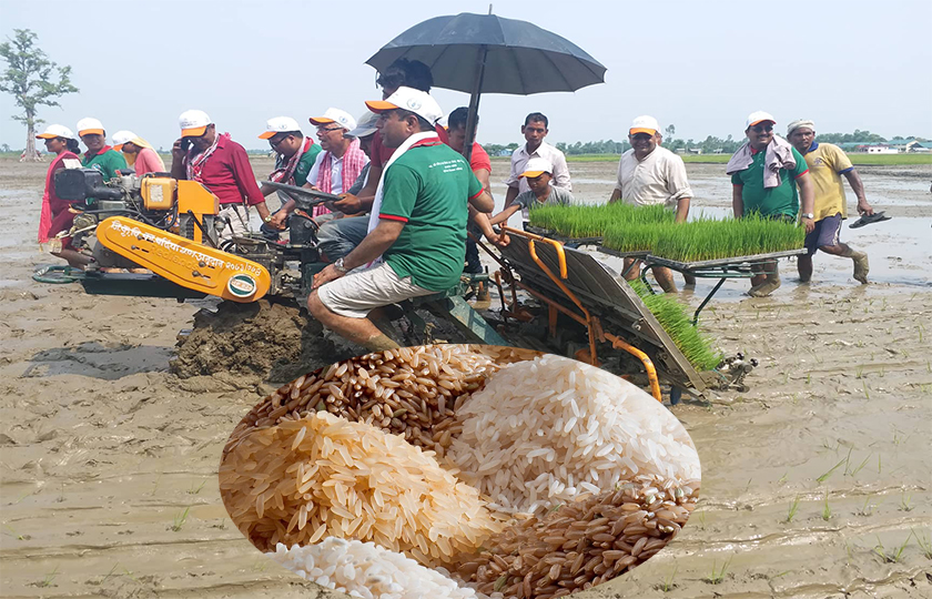 वार्षिक २५ अर्बको चामल आयात