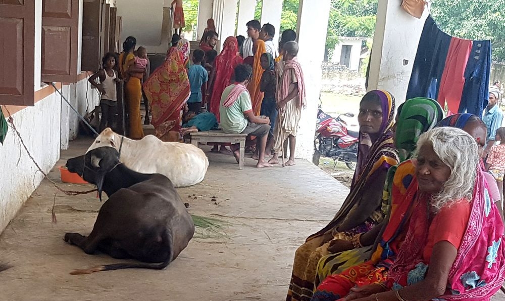 पशुसँगै सुत्छन् बाढीपीडित