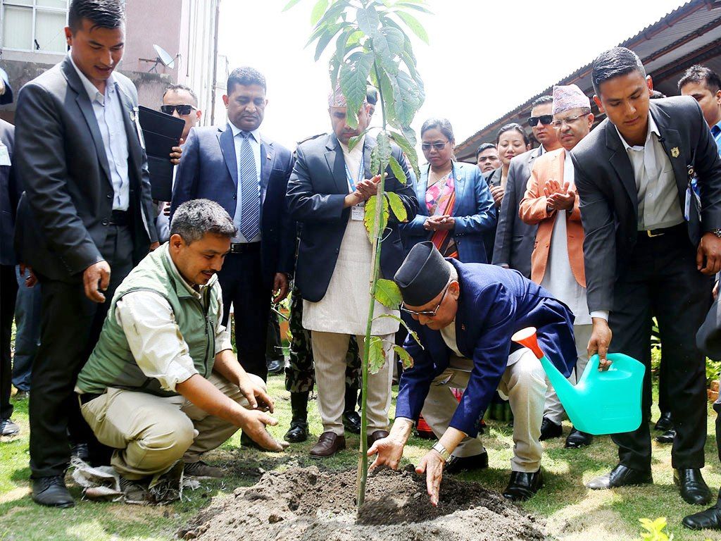 एक वर्षमा ४५ लाख बिरुवा रोपियो, सिंहदरबारमा हर्रोबर्रो