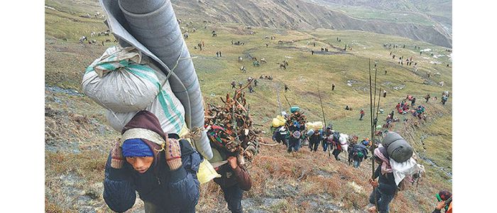 मनाङमा यार्सा संकलक रित्तो हात फर्किए 