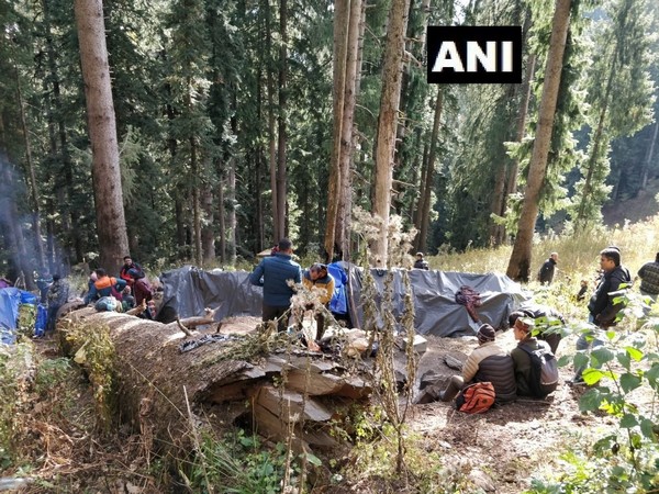 हिमाञ्चल प्रदेशबाट गाँजासहित १२ नेपाली पक्राउ