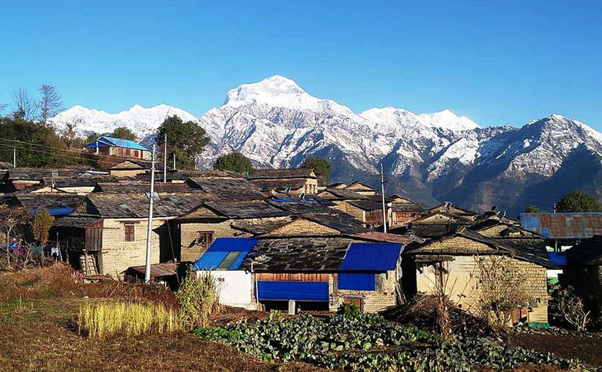 भिसा सकिएका पर्यटक आफ्नो देश फर्कन् मानेनन्